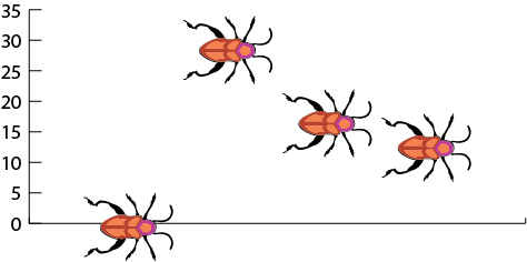 Beetle Graph